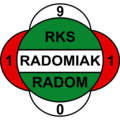 Radomiak Radom